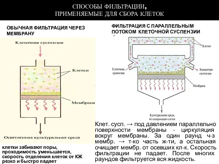 СПОСОБЫ ФИЛЬТРАЦИИ, ПРИМЕНЯЕМЫЕ ДЛЯ СБОРА КЛЕТОК ОБЫЧНАЯ ФИЛЬТРАЦИЯ ЧЕРЕЗ МЕМБРАНУ ФИЛЬТРАЦИЯ С ПАРАЛЛЕЛЬНЫМ