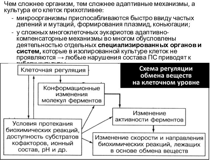 Чем сложнее организм, тем сложнее адаптивные механизмы, а культура его