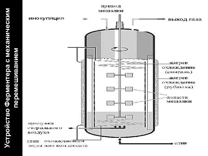 Устройство Ферментера с механическим перемешиванием