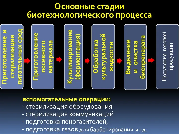 Основные стадии биотехнологического процесса вспомогательные операции: стерилизация оборудования стерилизация коммуникаций