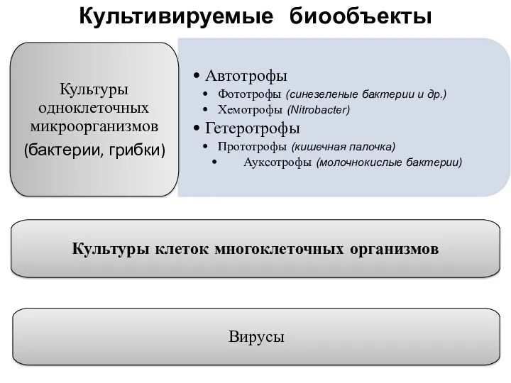 Культивируемые биообъекты