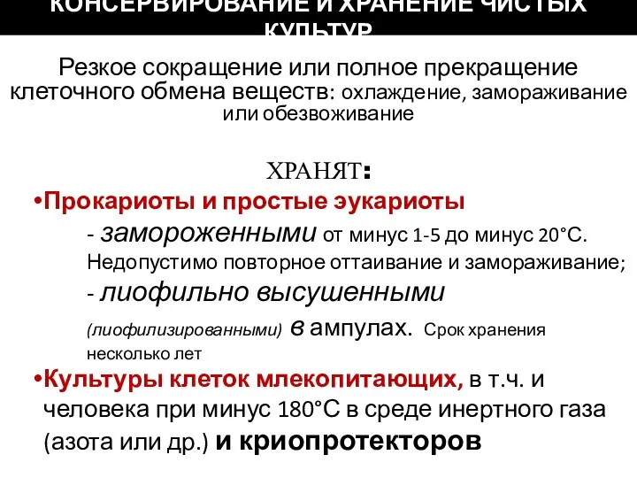 КОНСЕРВИРОВАНИЕ И ХРАНЕНИЕ ЧИСТЫХ КУЛЬТУР ХРАНЯТ: Прокариоты и простые эукариоты - замороженными от