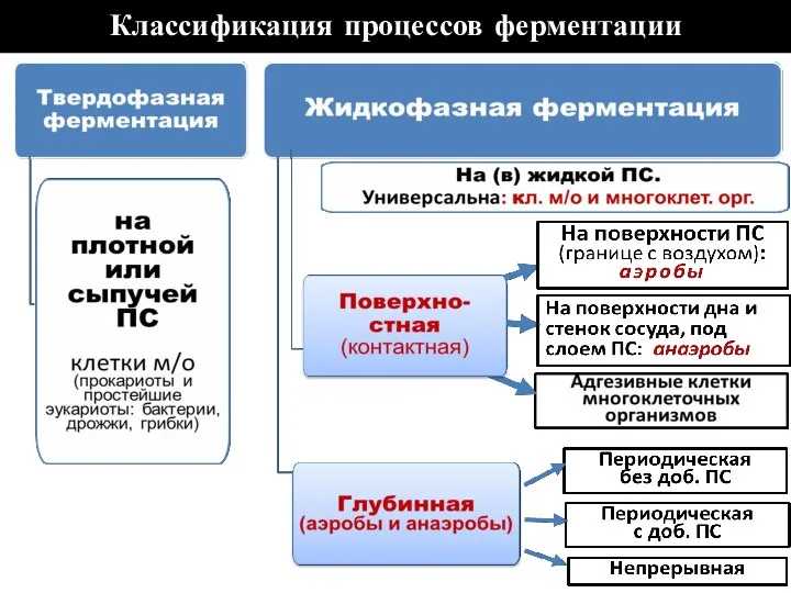 Классификация процессов ферментации