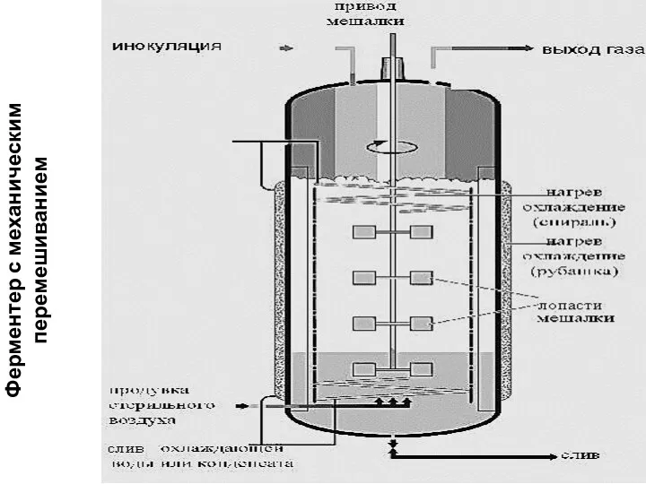 Ферментер с механическим перемешиванием
