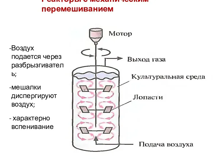 Реакторы с механическим перемешиванием Воздух подается через разбрызгиватель; мешалки диспергируют воздух; характерно вспенивание