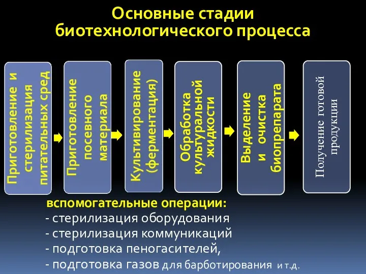 Основные стадии биотехнологического процесса вспомогательные операции: стерилизация оборудования стерилизация коммуникаций подготовка пеногасителей, подготовка