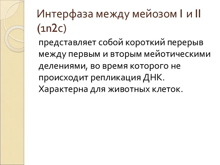 Интерфаза между мейозом I и II (1n2с) представляет собой короткий