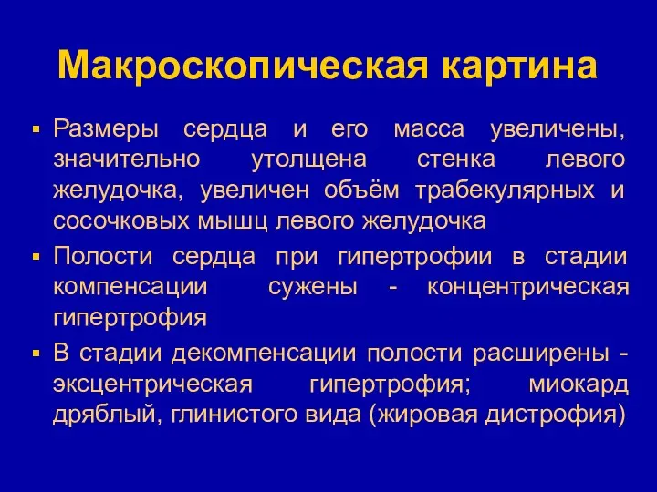 Макроскопическая картина Размеры сердца и его масса увеличены, значительно утолщена