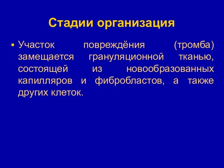 Стадии организация Участок повреждёния (тромба) замещается грануляционной тканью, состоящей из