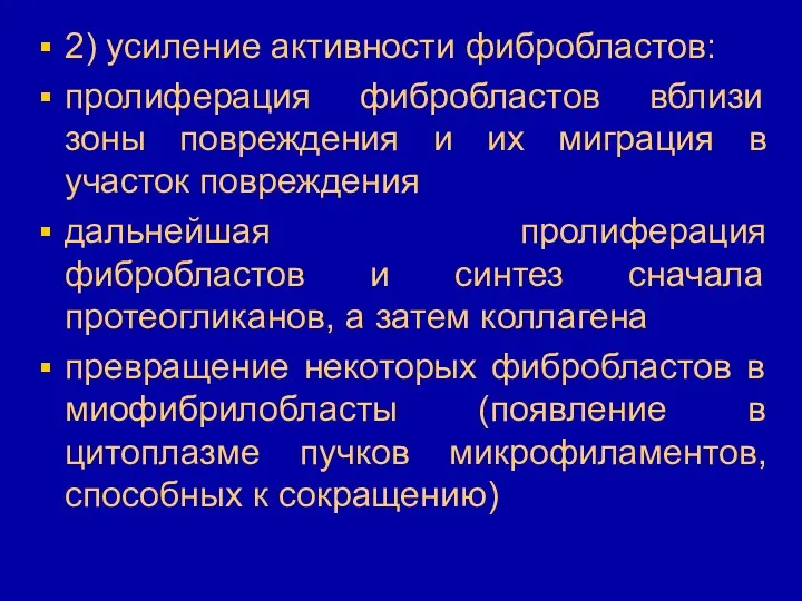 2) усиление активности фибробластов: пролиферация фибробластов вблизи зоны повреждения и