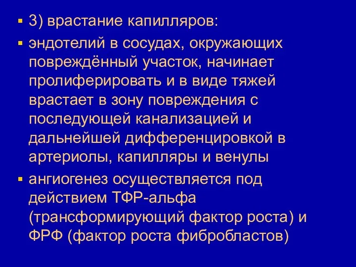 3) врастание капилляров: эндотелий в сосудах, окружающих повреждённый участок, начинает