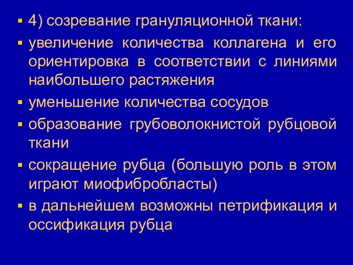 4) созревание грануляционной ткани: увеличение количества коллагена и его ориентировка