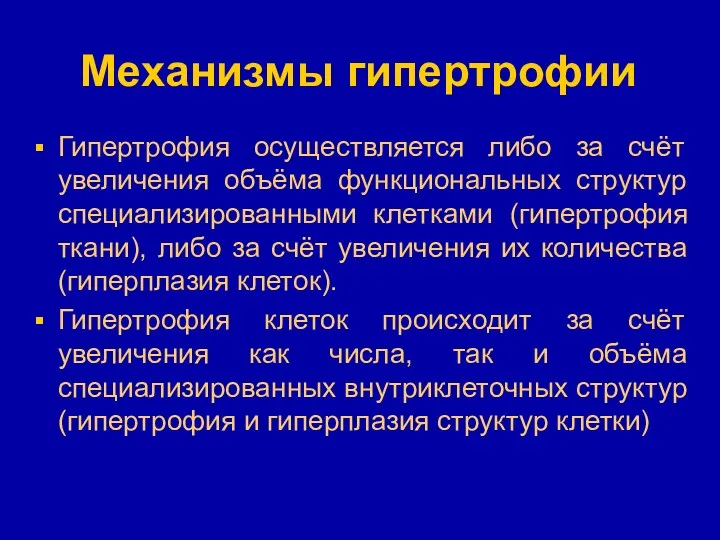 Механизмы гипертрофии Гипертрофия осуществляется либо за счёт увеличения объёма функциональных