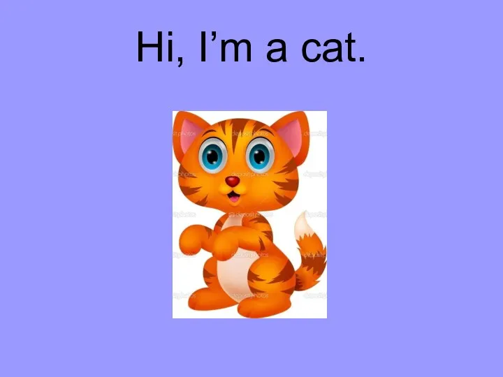 Hi, I’m a cat.