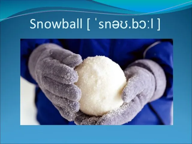 Snowball [ ˈsnəʊ.bɔːl ]