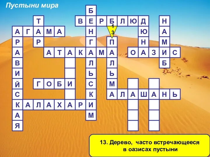 13. Дерево, часто встречающееся в оазисах пустыни Р В Е