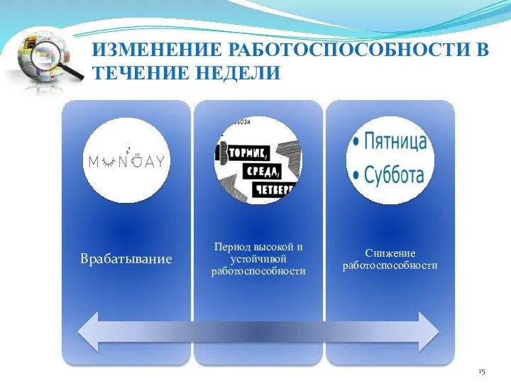 ИЗМЕНЕНИЕ РАБОТОСПОСОБНОСТИ В ТЕЧЕНИЕ НЕДЕЛИ