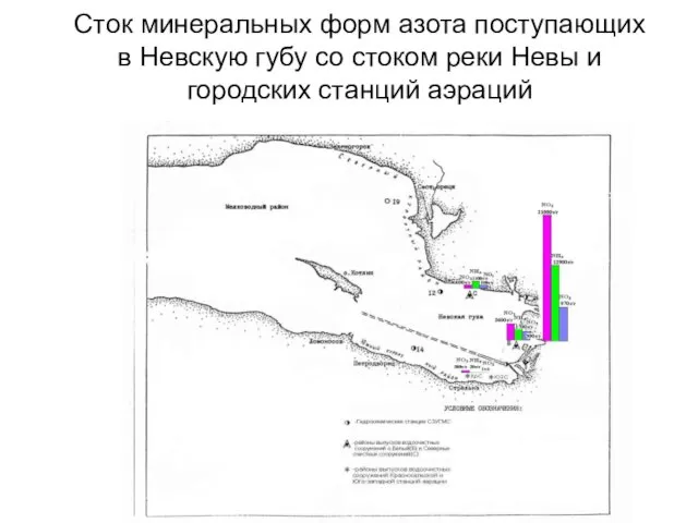 Сток минеральных форм азота поступающих в Невскую губу со стоком реки Невы и городских станций аэраций