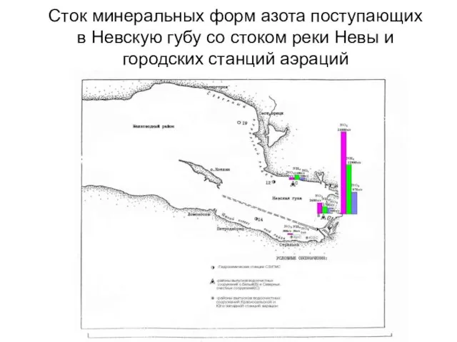 Сток минеральных форм азота поступающих в Невскую губу со стоком реки Невы и городских станций аэраций