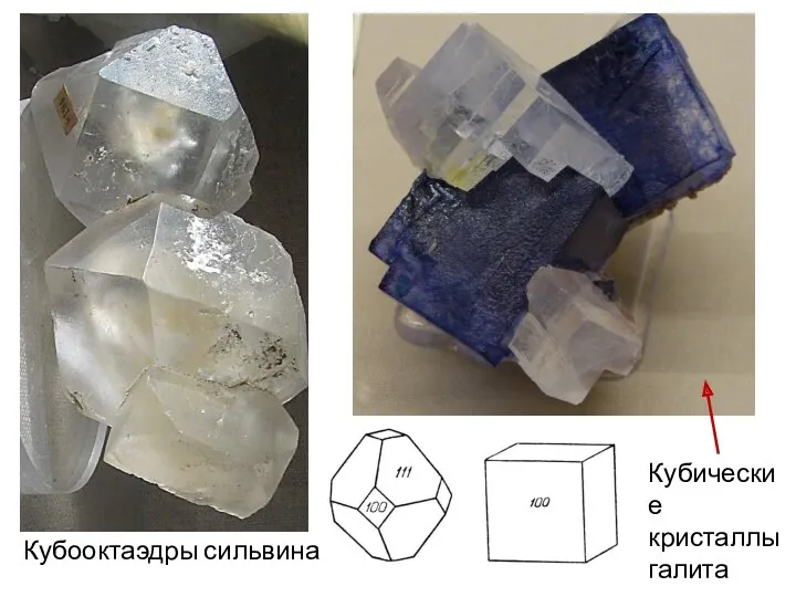 Кубические кристаллы галита Кубооктаэдры сильвина