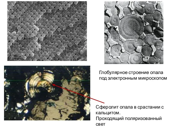 Сферолит опала в срастании с кальцитом. Проходящий поляризованный свет Глобулярное строение опала под электронным микроскопом