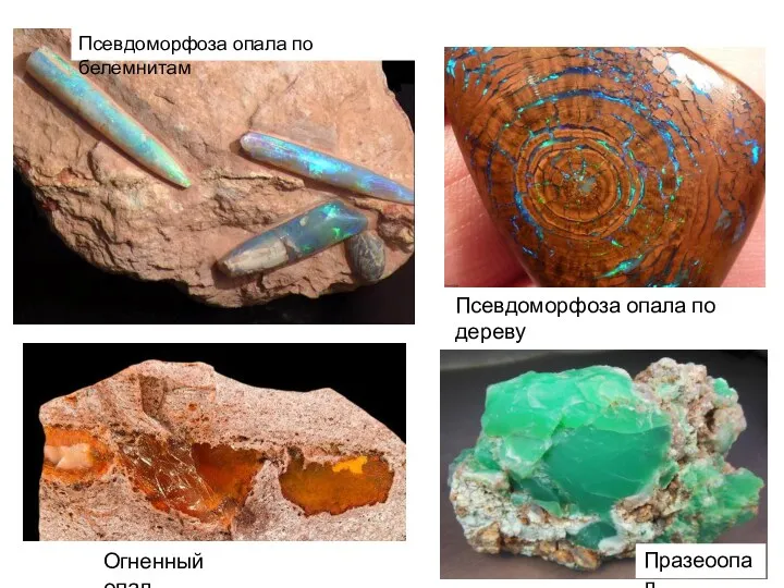 Огненный опал Празеоопал Псевдоморфоза опала по дереву Псевдоморфоза опала по белемнитам