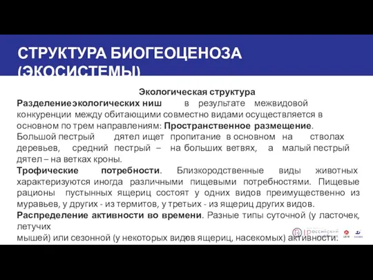 СТРУКТУРА БИОГЕОЦЕНОЗА (ЭКОСИСТЕМЫ) 20 Экологическая структура Разделение экологических ниш в