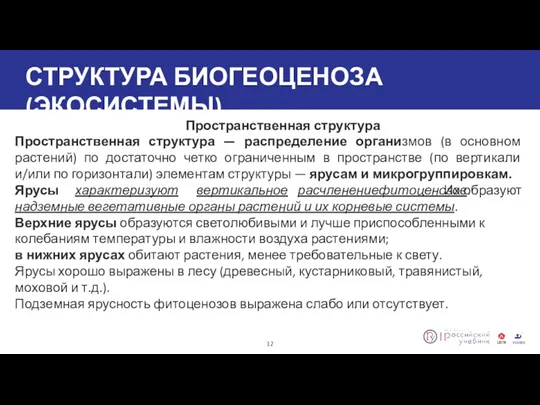 СТРУКТУРА БИОГЕОЦЕНОЗА (ЭКОСИСТЕМЫ) 12 Пространственная структура Пространственная структура — распределение