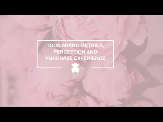 TOUS BRAND METRICS, PERCEPTION AND PURCHASE EXPERIENCE