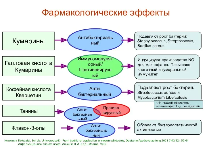 Анти- бактериальный Кумарины Антибактериальный Подавляют рост бактерий: Staphylococcus, Streptococcus, Bacillus