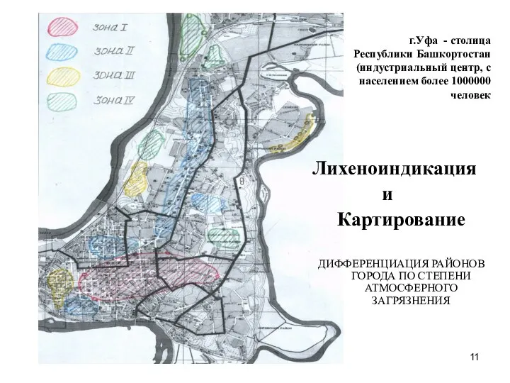 Лихеноиндикация и Картирование ДИФФЕРЕНЦИАЦИЯ РАЙОНОВ ГОРОДА ПО СТЕПЕНИ АТМОСФЕРНОГО ЗАГРЯЗНЕНИЯ