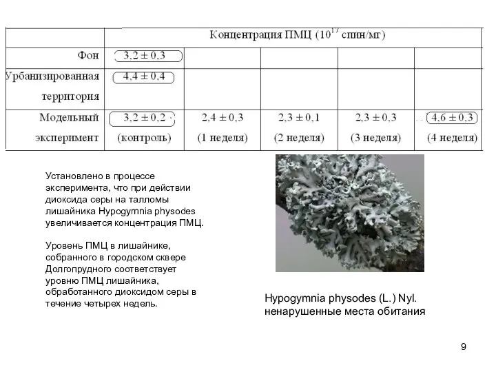 Установлено в процессе эксперимента, что при действии диоксида серы на