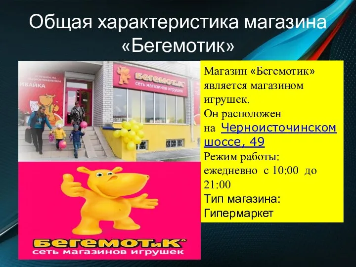 Общая характеристика магазина «Бегемотик» Магазин «Бегемотик» является магазином игрушек. Он расположен на Черноисточинском