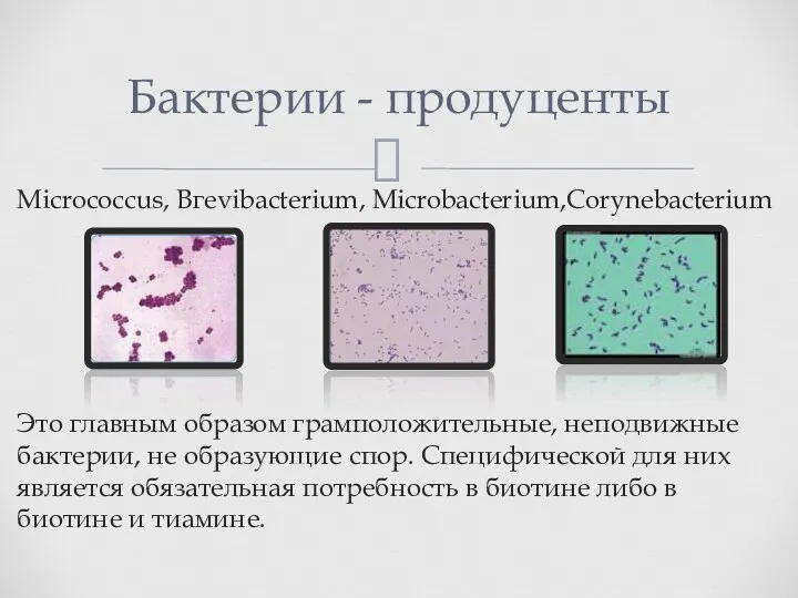 Micrococcus, Вгеvibacterium, Microbacterium,Corynebacterium Это главным образом грамположительные, неподвижные бактерии, не образующие спор. Специфической
