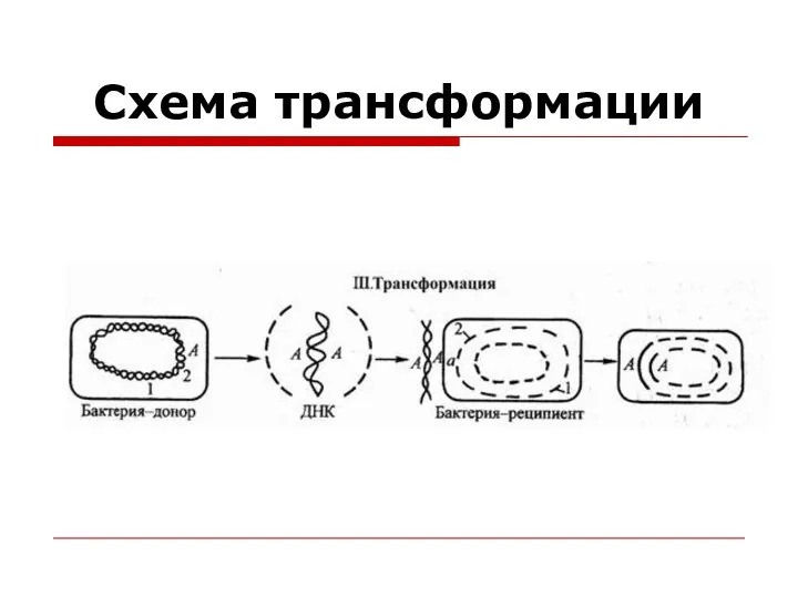 Схема трансформации