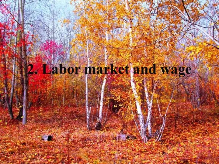 2. Labor market and wage