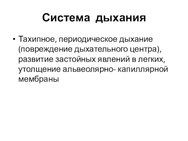 Система дыхания Тахипное, периодическое дыхание (повреждение дыхательного центра), развитие застойных