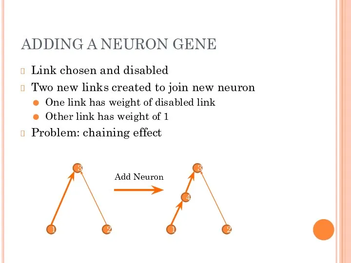 ADDING A NEURON GENE Link chosen and disabled Two new links created to