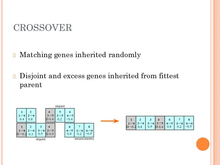 CROSSOVER Matching genes inherited randomly Disjoint and excess genes inherited from fittest parent