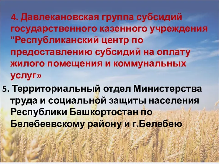 4. Давлекановская группа субсидий государственного казенного учреждения "Республиканский центр по