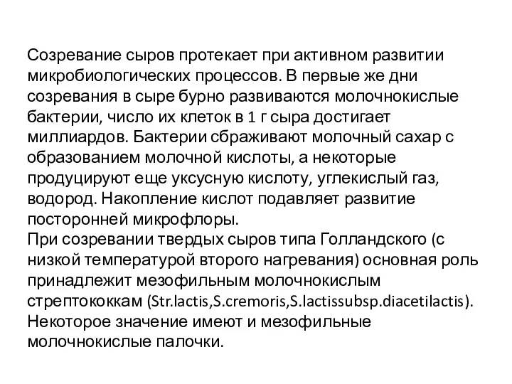 Созревание сыров протекает при активном развитии микробиологических процессов. В первые