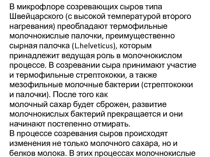 В микрофлоре созревающих сыров типа Швейцарского (с высокой температурой второго