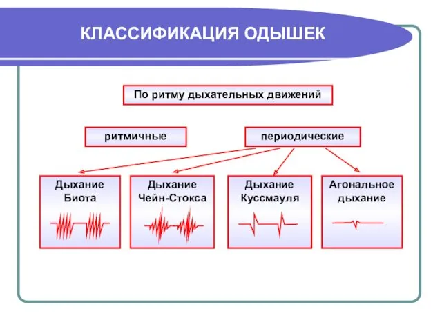 КЛАССИФИКАЦИЯ ОДЫШЕК По ритму дыхательных движений ритмичные периодические Дыхание Биота Дыхание Чейн-Стокса Дыхание Куссмауля Агональное дыхание