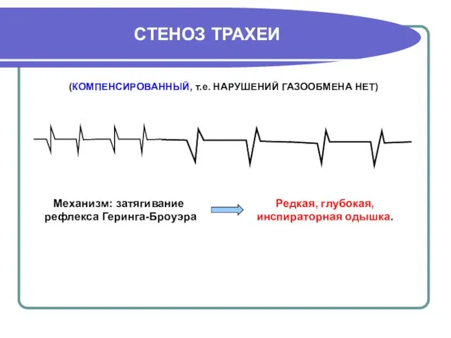 СТЕНОЗ ТРАХЕИ (КОМПЕНСИРОВАННЫЙ, т.е. НАРУШЕНИЙ ГАЗООБМЕНА НЕТ) Механизм: затягивание рефлекса Геринга-Броуэра Редкая, глубокая, инспираторная одышка.