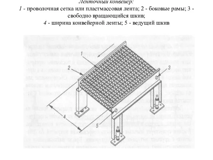 Ленточный конвейер: 1 - проволочная сетка или пластмассовая лента; 2 - боковые рамы;