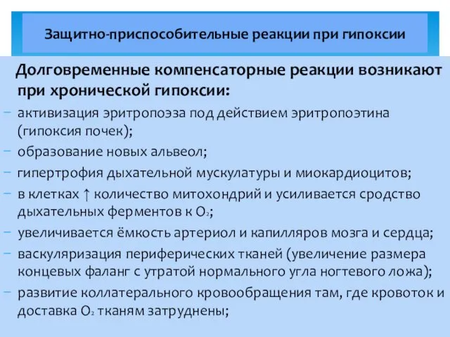 Долговременные компенсаторные реакции возникают при хронической гипоксии: активизация эритропоэза под