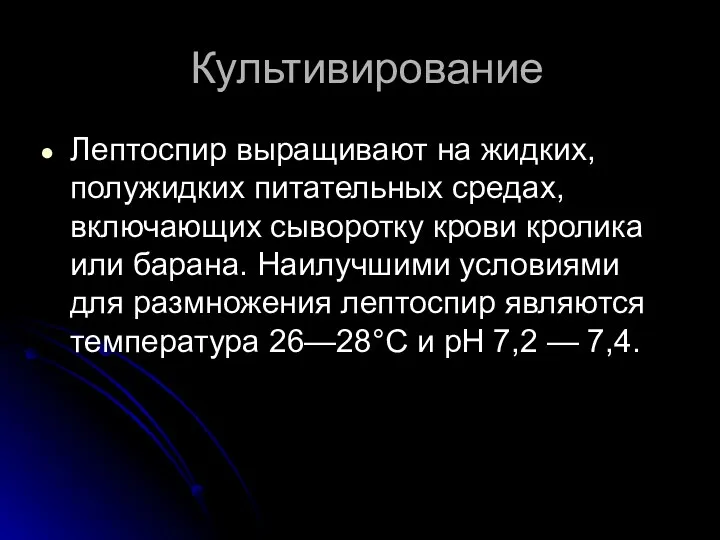 Культивирование Лептоспир выращивают на жидких, полужидких питательных средах, включающих сыворотку