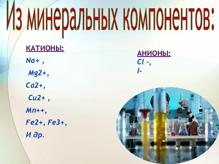 Из минеральных компонентов: КАТИОНЫ: Na+ , Mg2+, Са2+, Cu2+ ,