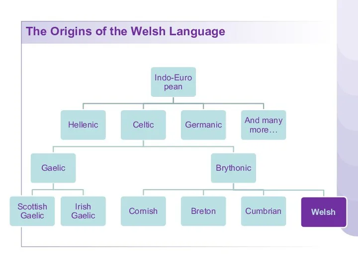 The Origins of the Welsh Language