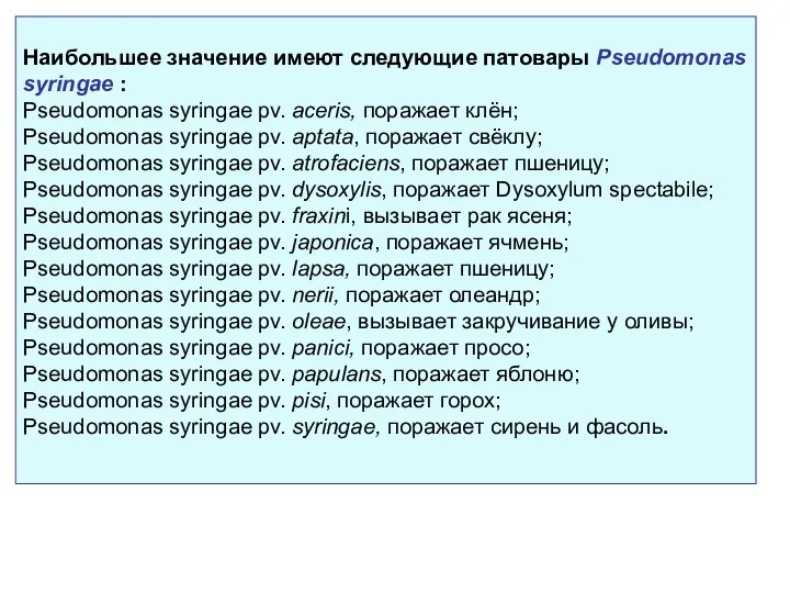 Наибольшее значение имеют следующие патовары Pseudomonas syringae : Pseudomonas syringae
